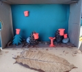 IMG_20220126_121023