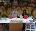 IMG_20220420_113848