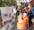 IMG_20220420_120738