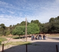 IMG_20220507_095447