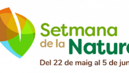 descarga (1)