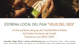 INS Cirviànum (Torelló)