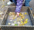 IMG-20231212-WA0018