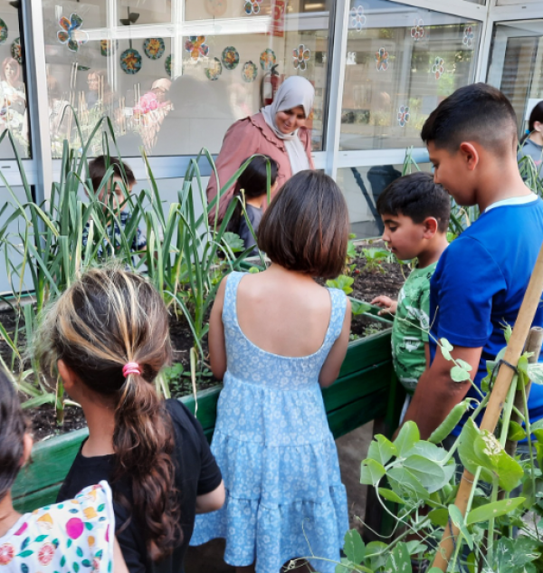 Projecte de l'hort