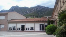 Vedruna (Berga)
