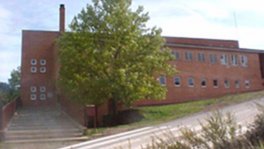 ceip-joan-de-pala