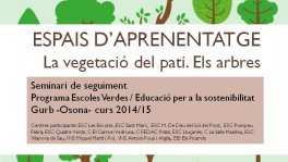El pati del centre escolar