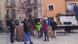 IMG_20151216_093531