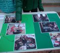 IMG_20190314_103603