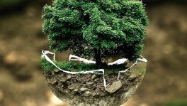 Dia-Mundial-del-Medio-Ambiente