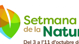 descarga
