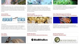 portal ciència ciutadana