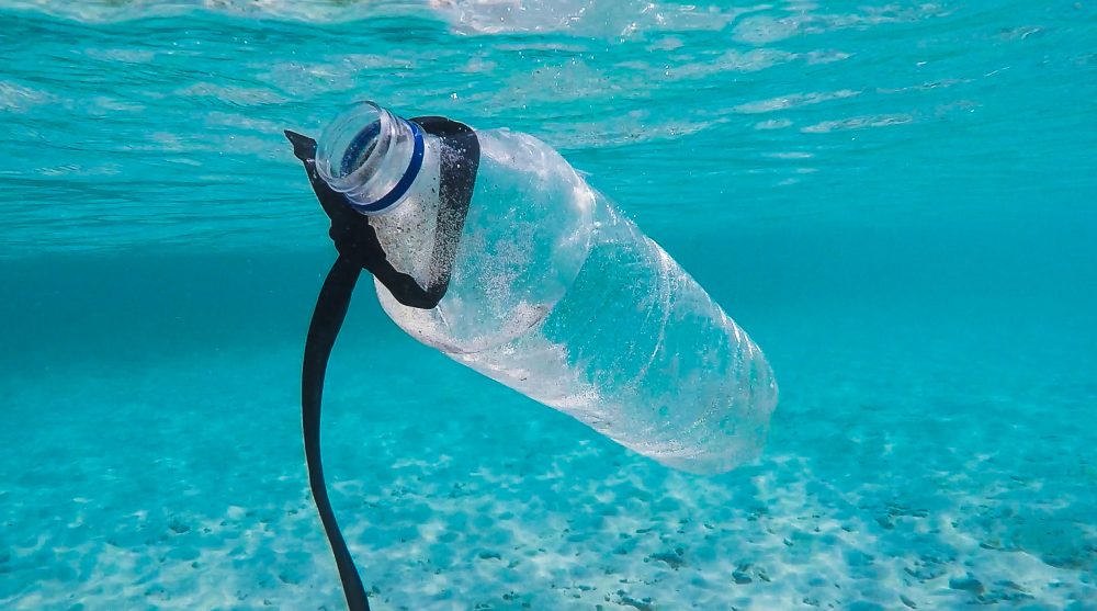 plastic-al-mar-e1559881500177